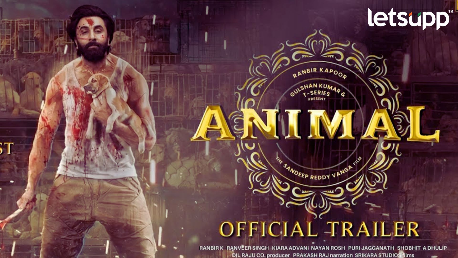 रणबीरच्या Animal चित्रपटाबद्दल 'या' इंटरेस्टींग गोष्टी माहितीये का? जाणून घ्या चकित व्हाल!