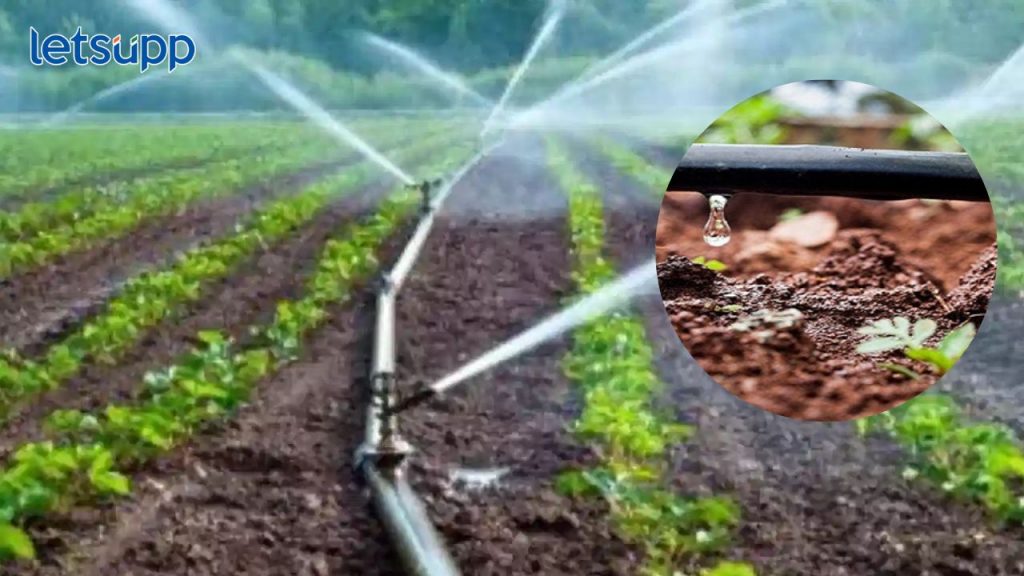 Thibak Sinchan Tushar Sinchan