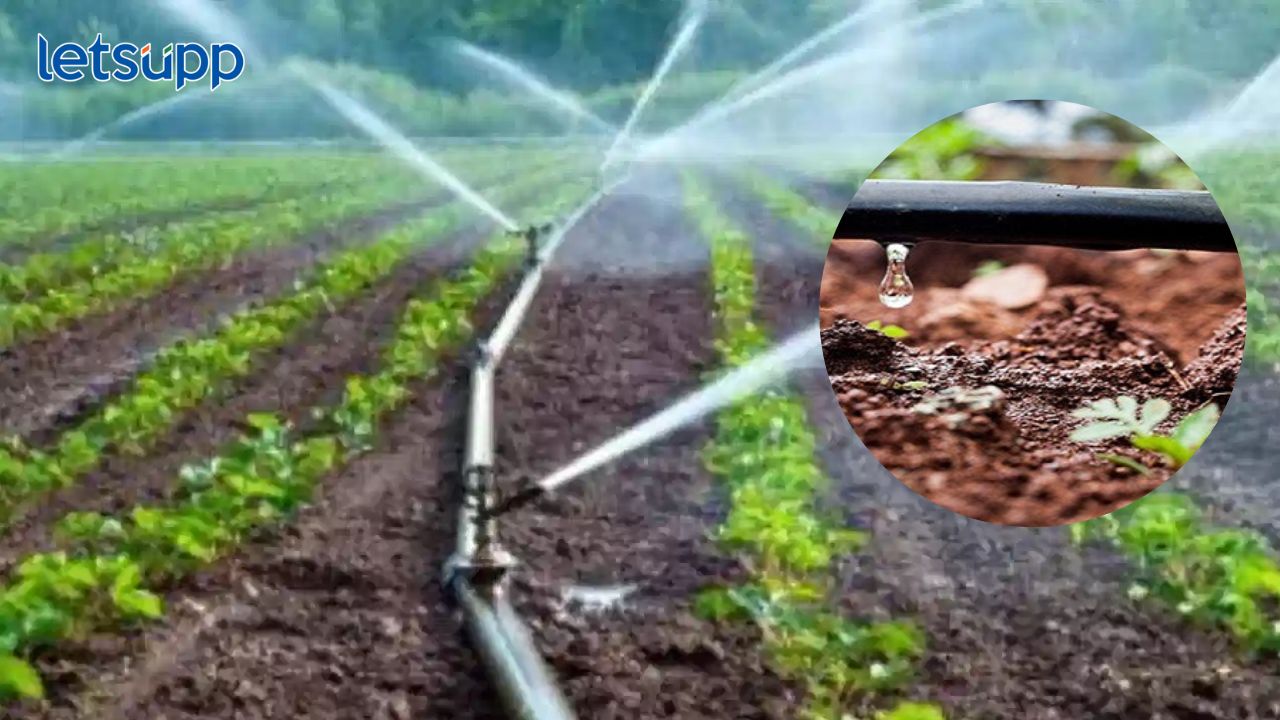 Thibak Sinchan Tushar Sinchan