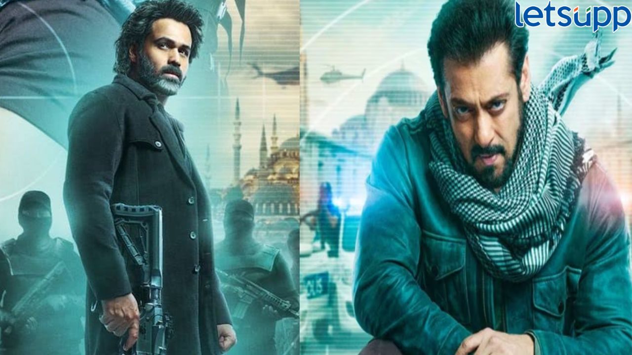 ...आणि म्हणून सलमान खान आणि इमरान हाश्मी 'टायगर 3' साठी परफेक्ट जोडी ठरले!