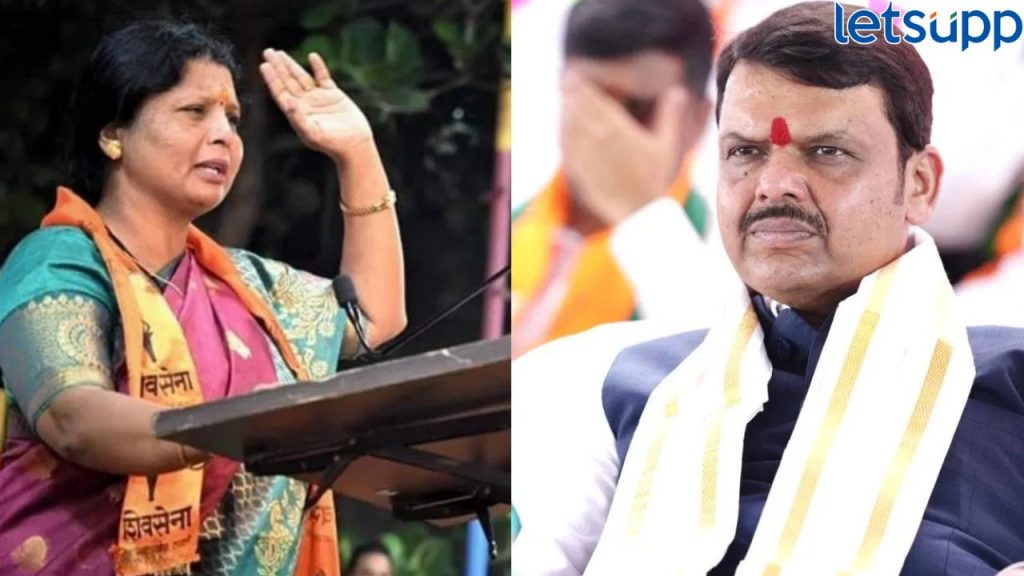 कुणाला वेड्यात काढताय, आम्ही काय डोक्याला गोडं तेल लावतो? अंधारेंनी घेतला फडणवीसांचा समाचार