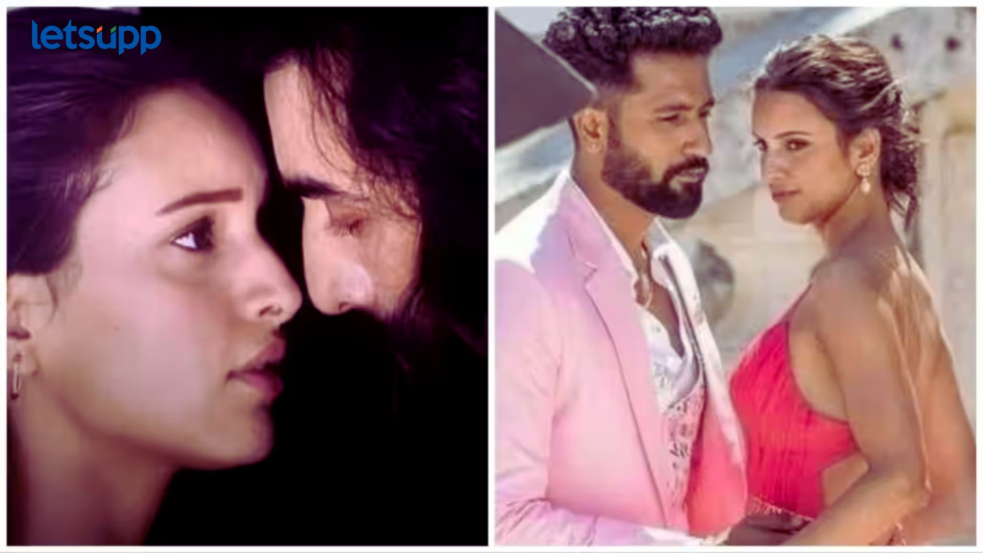 रणबीर नंतर तृप्ती डिमरी करणार विकी कौशलसोबत रोमान्स; लवकरच दिसणार एकत्र