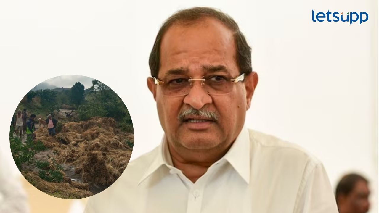 Radhakrishna Vikhe Patil