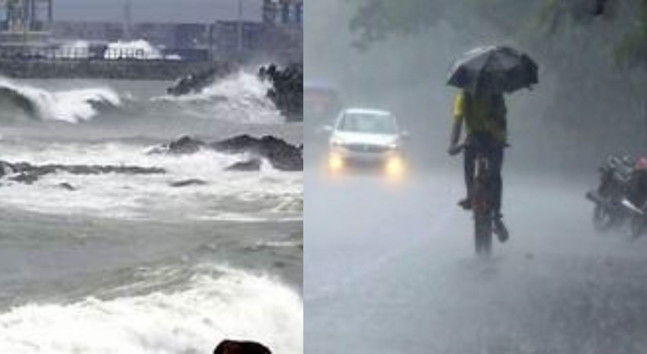 Weather Update : थंडी पळाली! 31 जिल्ह्यांना मुसळधार पावसाचा अलर्ट; हवामानाचा अंदाज काय?