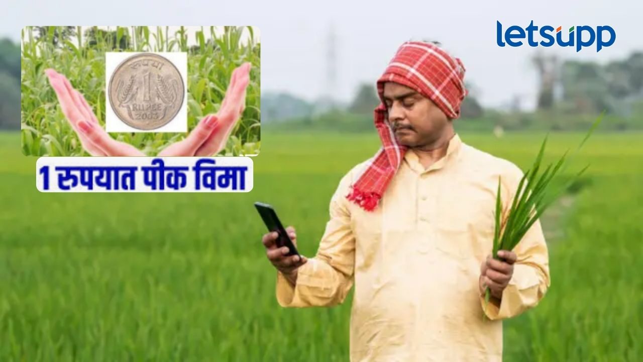 एक रुपयात पीक विमा योजना बंद होणार?, गैरव्यवहार झाल्याचं उघड; सरकार मोठा निर्यण घेणार