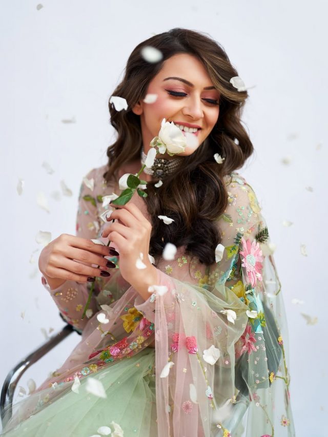 Hansika Motwani  : हंसिका मोटवानीचा साडीतील आकर्षक लूक, पाहा नवे फोटो!