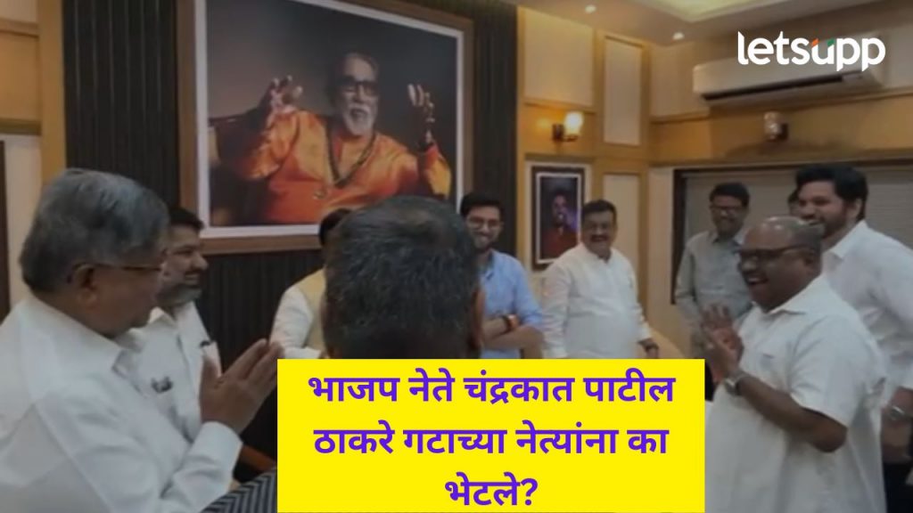 Video : आता बोलायला सगळे मार्ग मोकळे झालेत; परब अन् चंद्रकांत पाटलांच्या संवादाने पुन्हा फुटली नवी पालवी