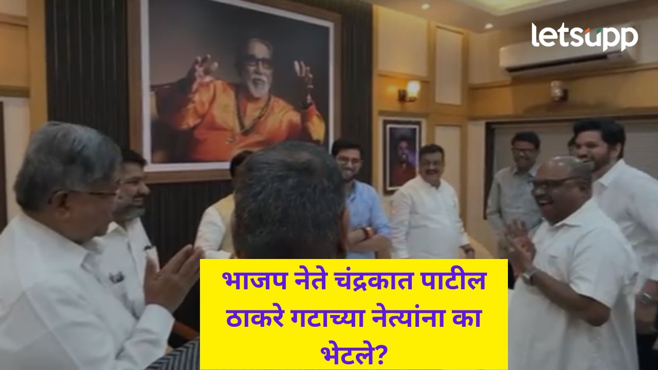 Video : आता बोलायला सगळे मार्ग मोकळे झालेत; परब अन् चंद्रकांत पाटलांच्या संवादाने पुन्हा फुटली नवी पालवी