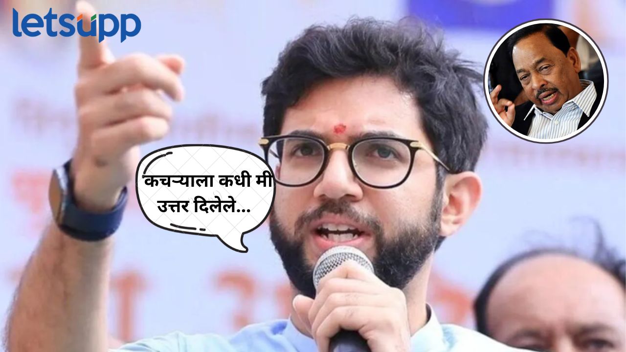 Aaditya Thackeray On Narayan Rane