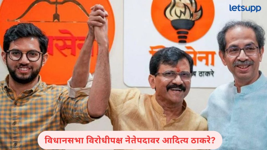 राऊतांनी मायक्रो प्लॅन फोडताच आदित्य ठाकरेंच्या नावाची चर्चा; नेमकं काय म्हणाले राऊत?