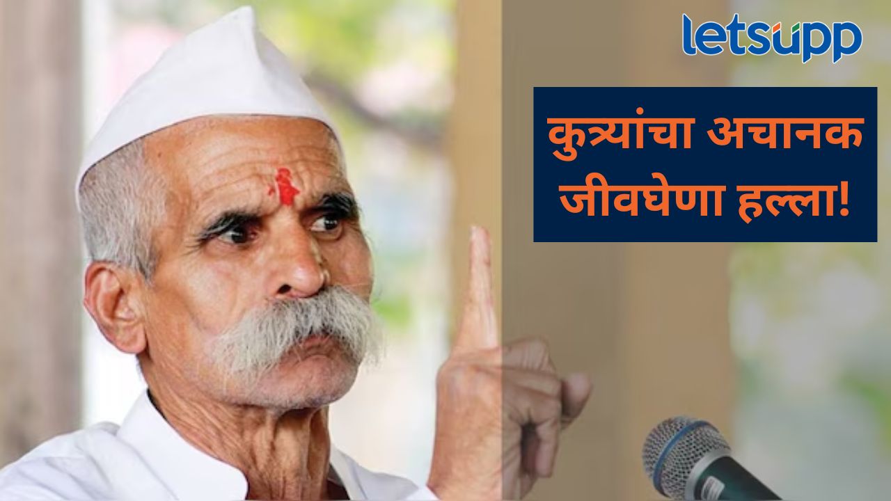 संभाजी भिडे गुरुजी यांच्यावर कुत्र्यांचा हल्ला; उपचारांसाठी केलं रुग्णालयात दाखल संभाजी भिडे गुरुजी यांच्यावर कुत्र्याने हल्ला; उपचारांसाठी केलं रुग्णालयात दाखल