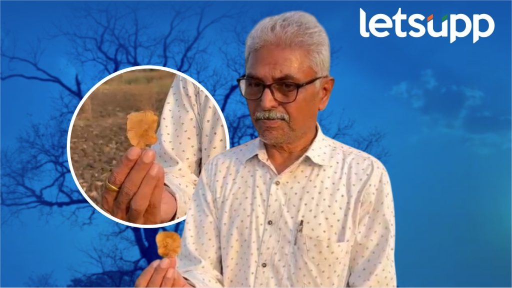 WhatsApp Image 2025 04 12 At 8.56.16 PM