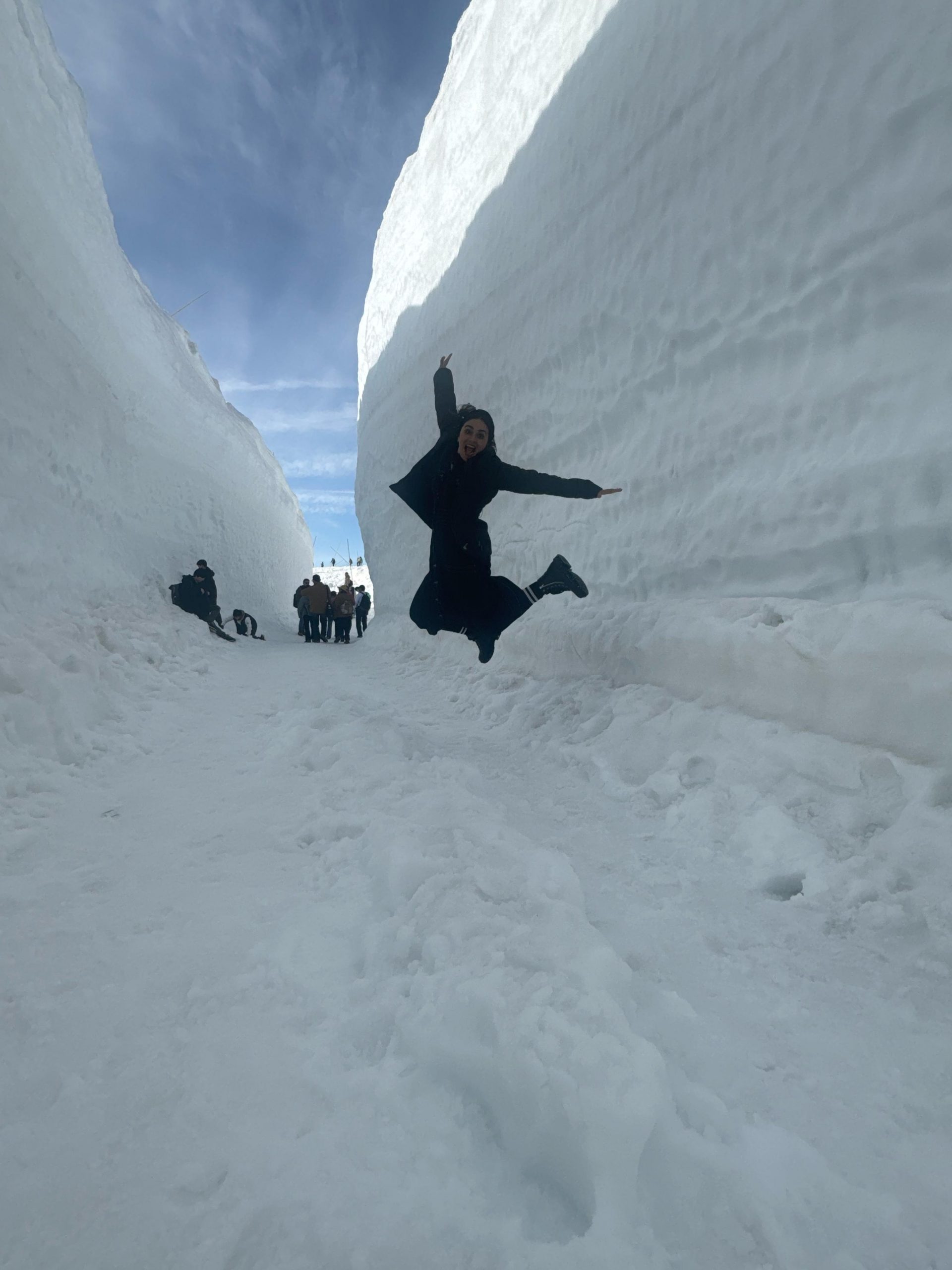 WhatsApp Image 2025 04 26 At 10.59.23 AM