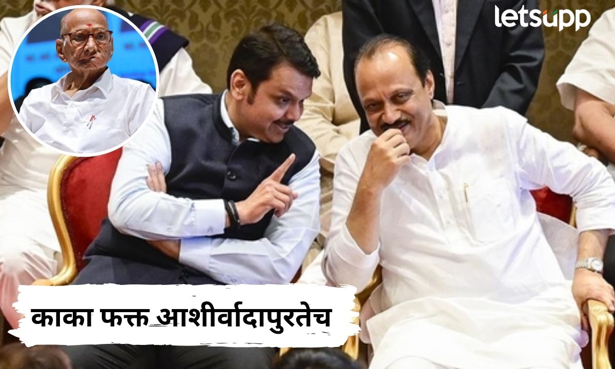 Video : दादांनी काकांना फक्त आशीर्वादापुरतचं मर्यादित ठेवलयं; फडणवीसांनी संधी साधत ‘बाण’ सोडला Devendra Fadanvis