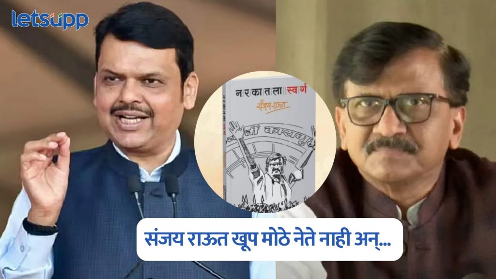 Devendra Fadnavis On Sanjay Raut