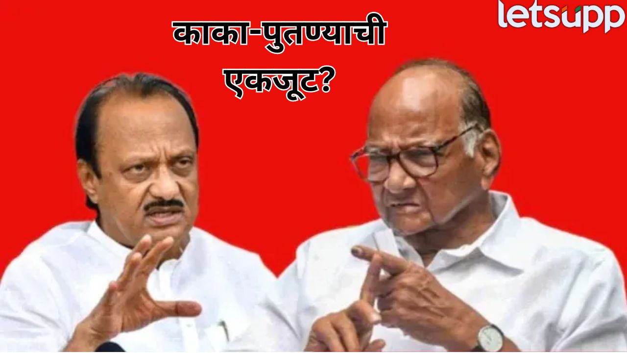 Maharashtra Politics (8)