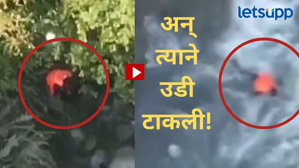 Video : पहलगामच्या चौकशीसाठी ताब्यात घेतलेल्या दहशतवाद्याची आत्महत्या; व्हिडिओ होतोय व्हायरल