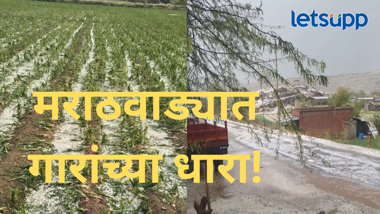 मराठवाड्यात अवकाळी पावसाचं थैमान; वादळी वाऱ्यासह गारांच्या धारा, पिकांचं अतोनात नुकसान