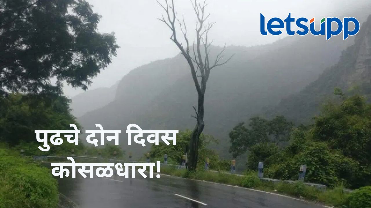 मध्य महाराष्ट्रासह मराठवाड्यात मुसळधार पाऊस होणार; 'या' जिल्ह्यांसाठी येलो अलर्ट