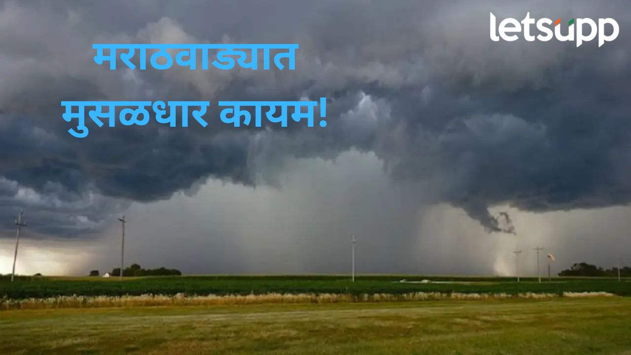 अरबी समुद्रात कमी दाबाचा पट्टा; विदर्भ अन् मराठवाड्यात मुसळधार पावसाची शक्यता