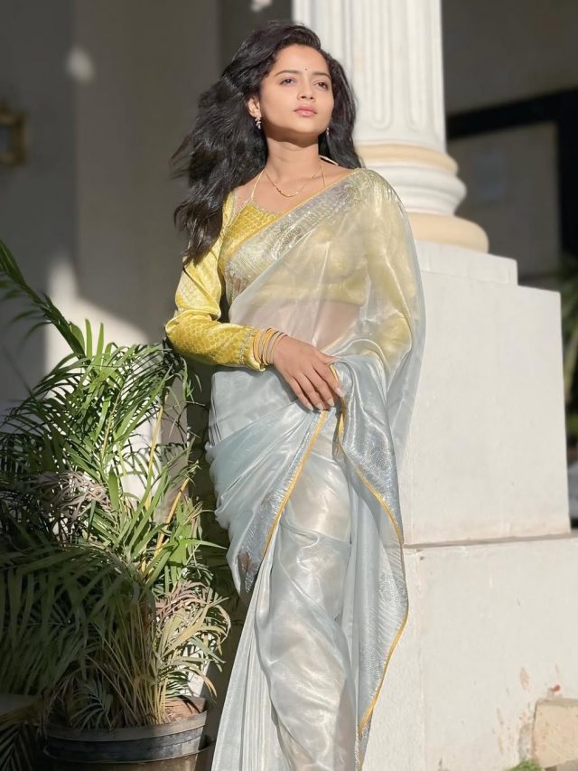 Shivali Parab : शिवाली परबच्या नव्या फोटोशूटने वेधलं लक्ष, साडीतील लूकची चर्चा