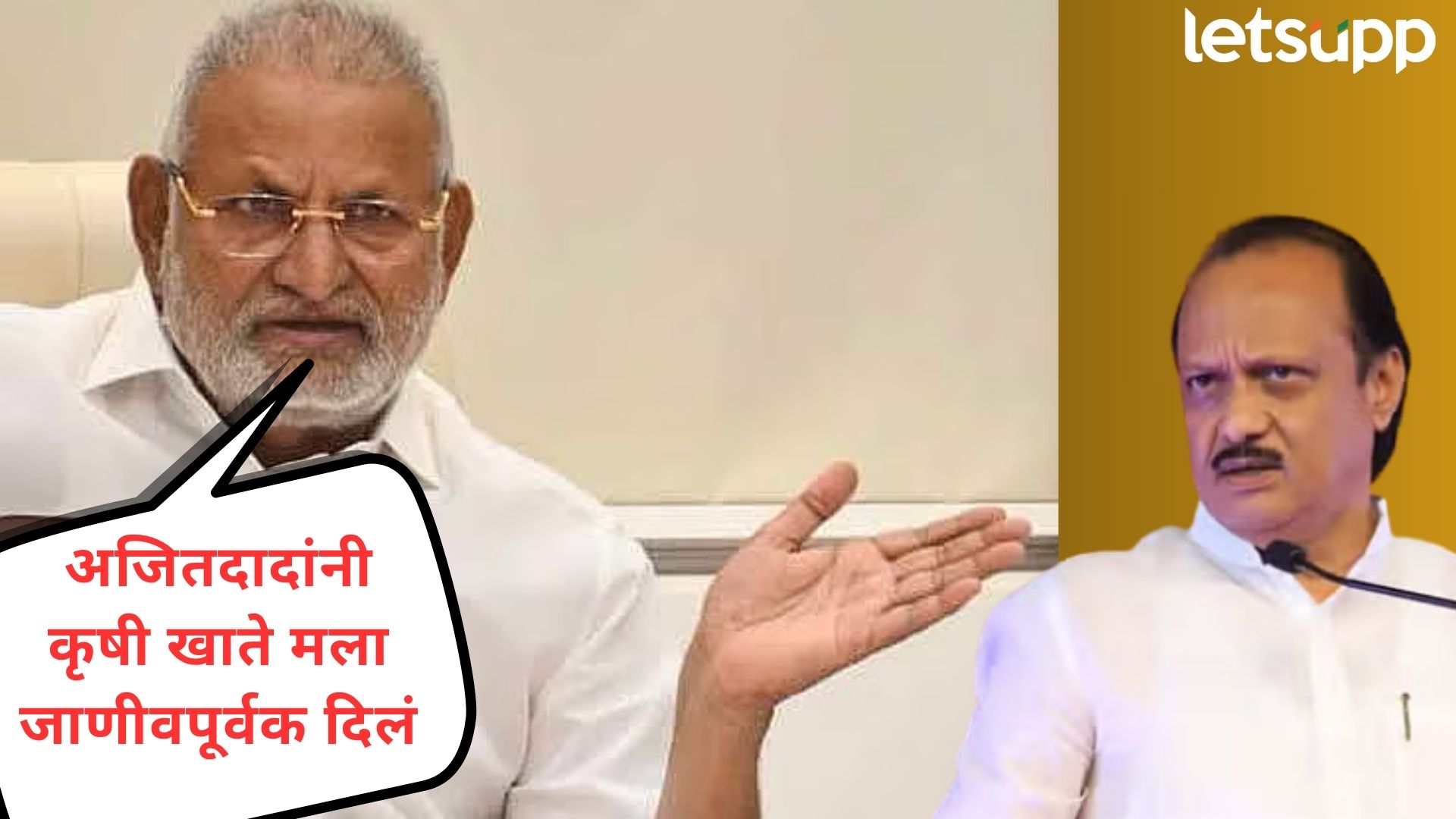 Video : कृषिमंत्रिपद म्हणजे ओसाड गावची पाटीलकी; मोकाट वक्तव्य करत कोकाटेंनी फोडलं दादांवर खापर