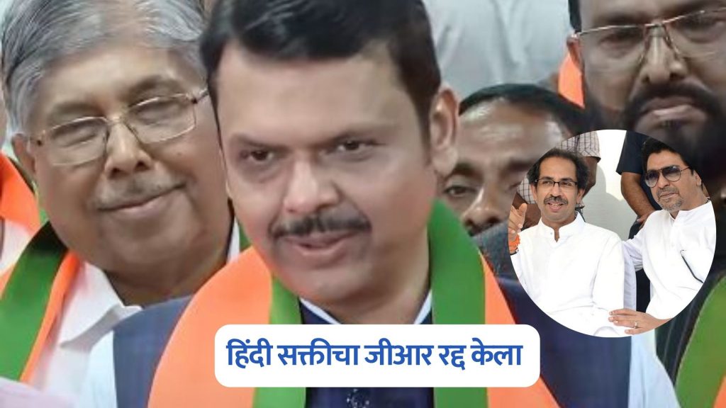 Devendra Fadnavis On Raj Thackeray