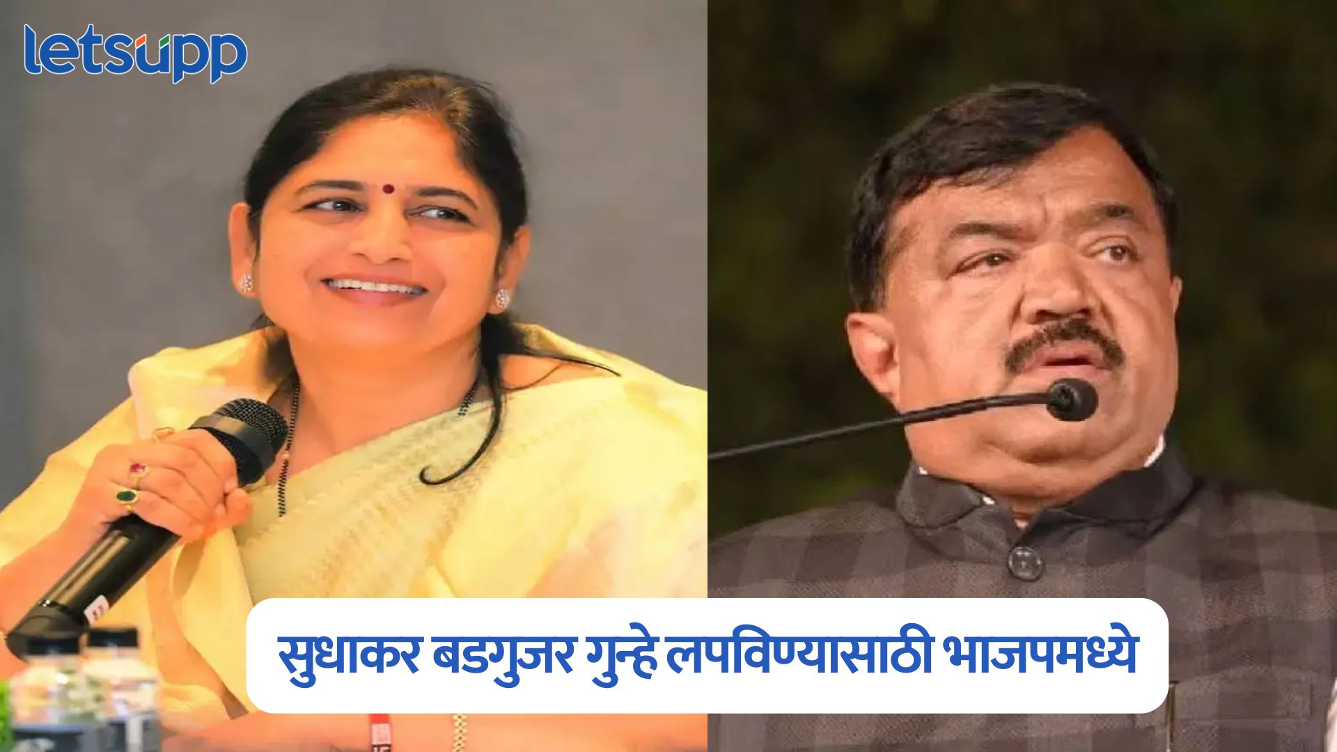 MLA Seema Hire On Sudhakar Badgujar