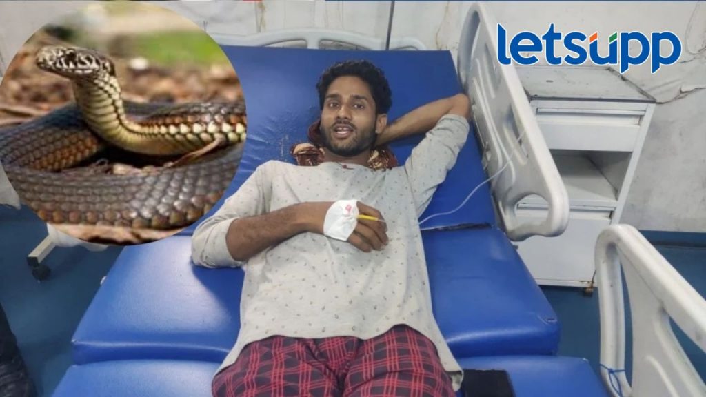 धक्कादायक घटना; तरुणाला चावलेल्या सापाचा काही वेळातच मृत्यू, तरुणाची तब्येत