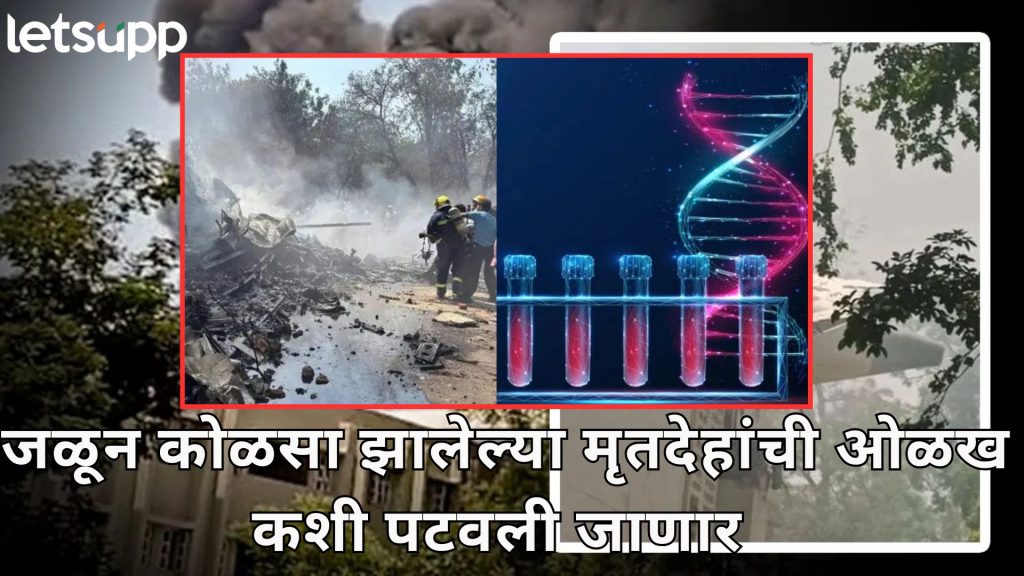 Letsupp Image 2025 06 13T111930.135