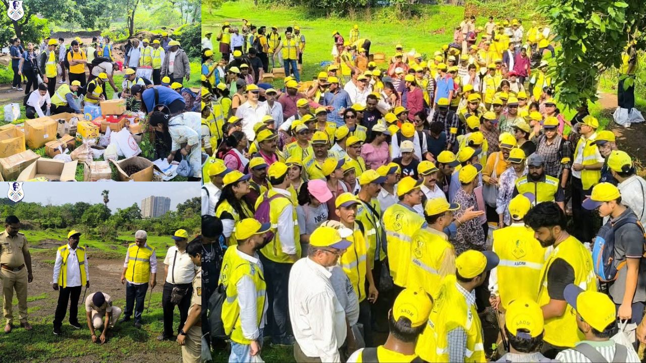 Seed Ball Plantation