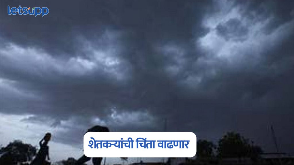 IMD Rain Alert