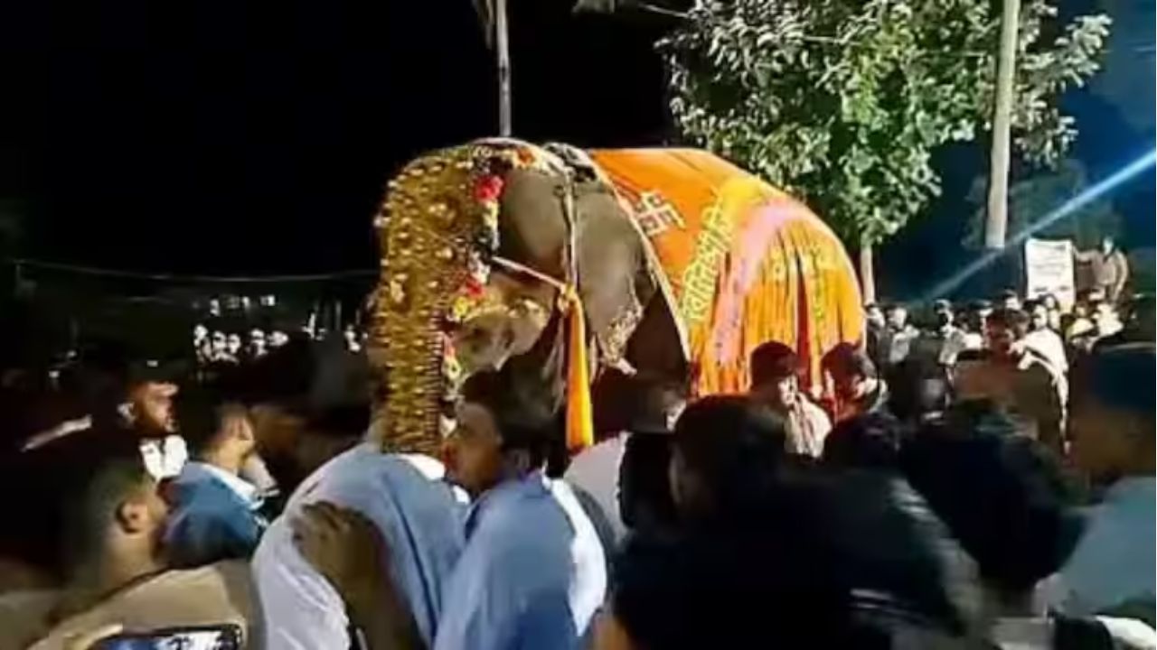 Mahadevi Elephant