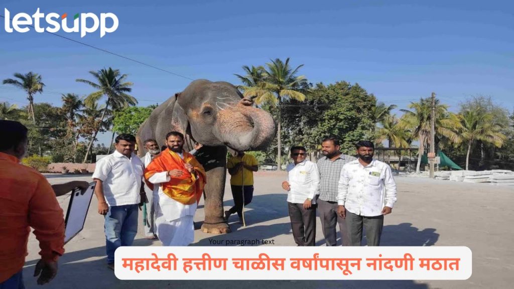 Nandani Math Mahadevi Elephant