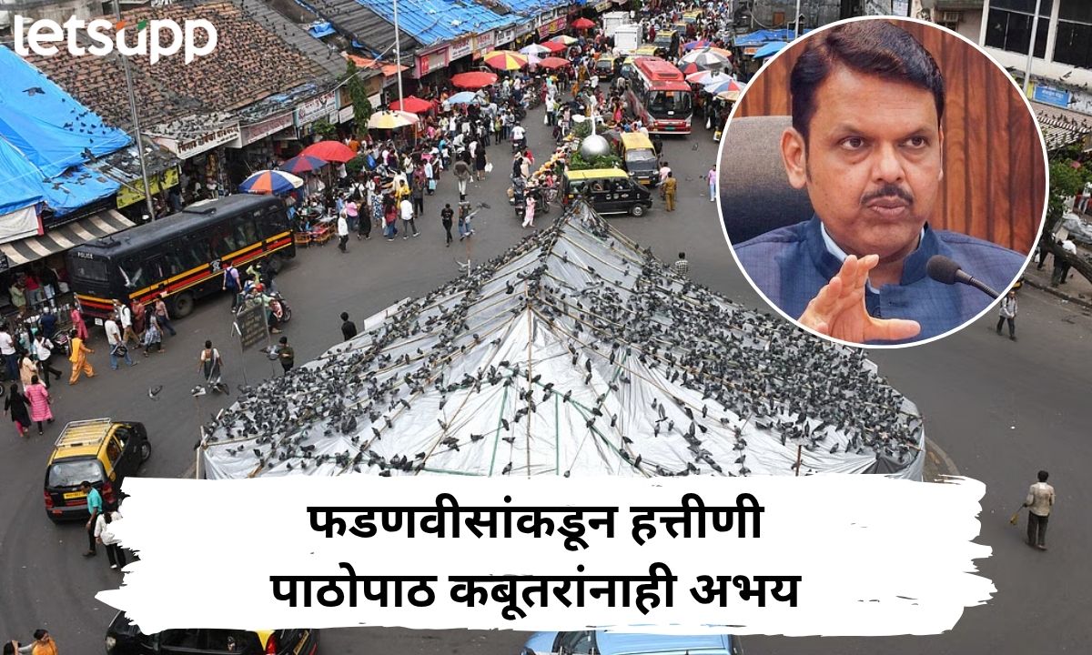 कबूतरखाने अचानक बंद करणे योग्य नाही; मुख्यमंत्री फडणवीसांकडून हत्तीणी पाठोपाठ कबुतरांनाही अभय Letsupp Marathi (50)