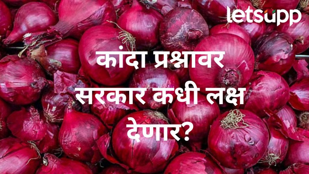 कांदा उत्पादक शेतकऱ्यांना कधी न्याय मिळणार?, संघटनांचे पदाधिकारी अन् कार्यकर्ते आक्रमक