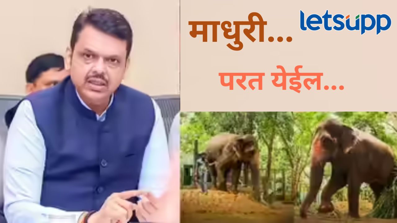 Video : 'माधुरी' हत्तीण सुखरुप नांदणीत परतणार?, कोर्ट आदेश देईल अशी अपेक्षा, मुख्यमंत्री काय म्हणाले?