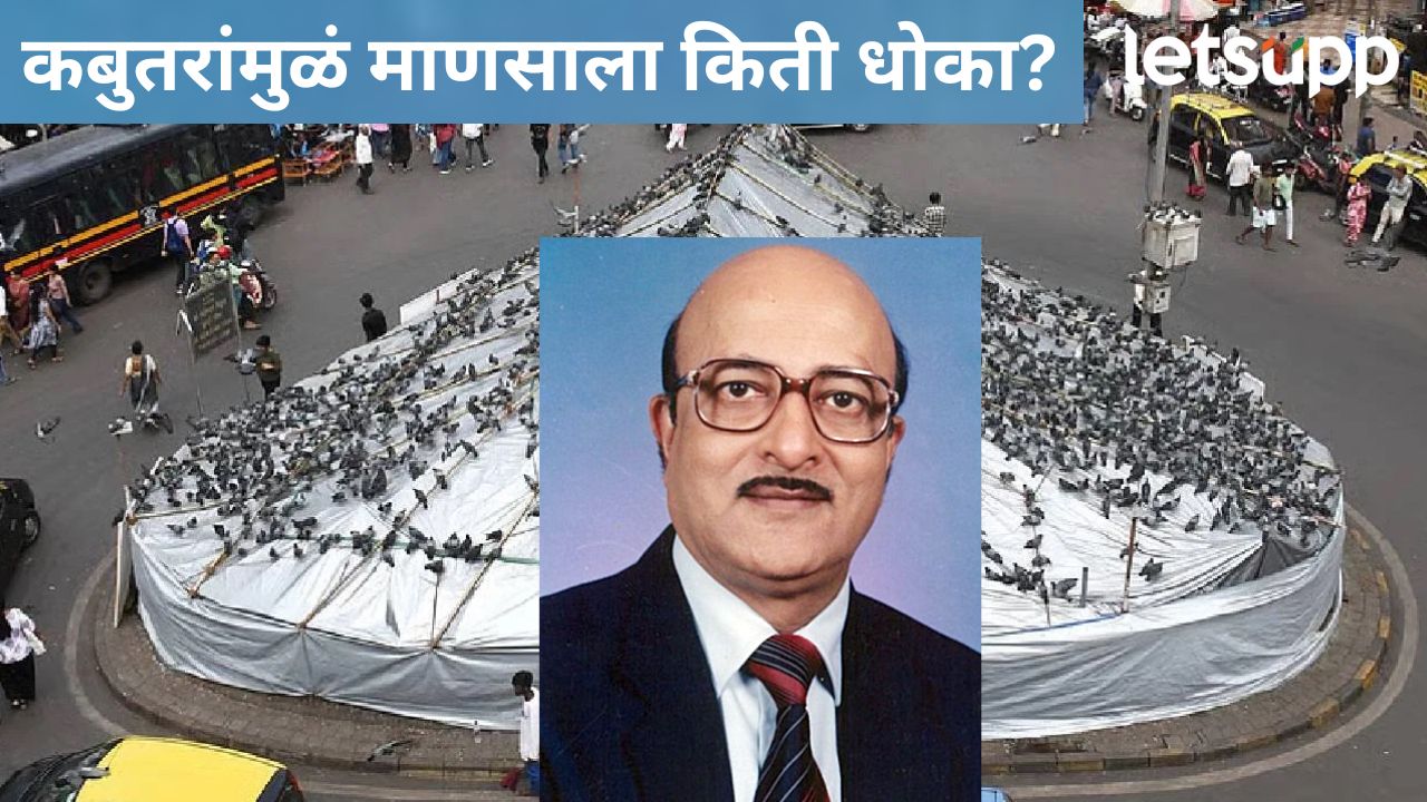 कबुतरांच्या विष्ठेमुळे मानवी आरोग्य किती धोका; वाचा, डॉ. कल्याण गंगवाल नक्की काय म्हणाले?