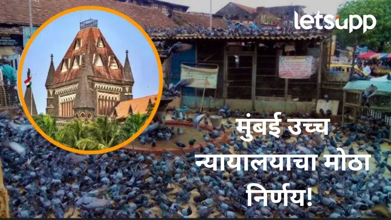 कबुतरखान्यांवरील बंदी कायम राहील; मुंबई उच्च न्यायालयाने मोठा निर्णय, पालिकेलाही दिला आदेश