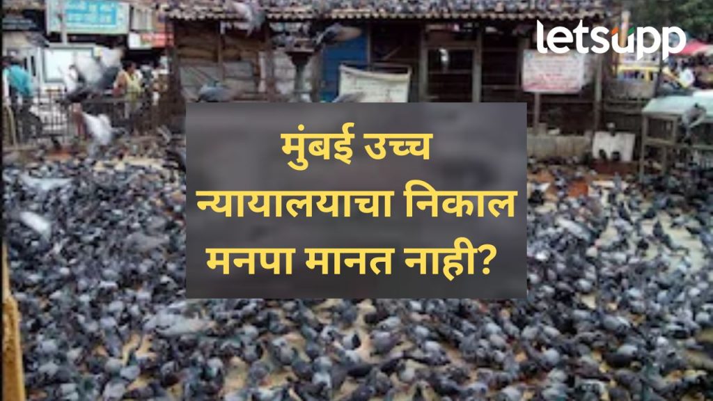 महापालिका आपले निर्णय बदलत नाही; उच्च न्यायालयाच्या निर्णयानंतर काय म्हणाले मनपा वकील?