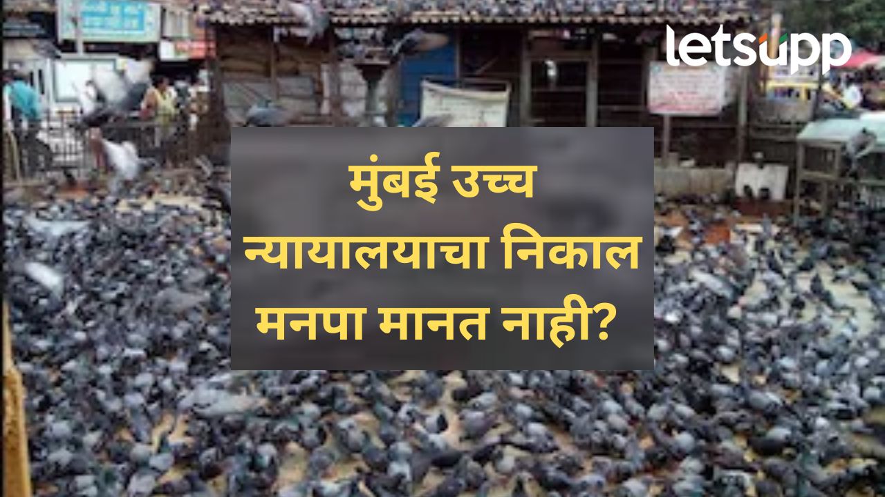 महापालिका आपले निर्णय बदलत नाही; उच्च न्यायालयाच्या निर्णयानंतर काय म्हणाले मनपा वकील?