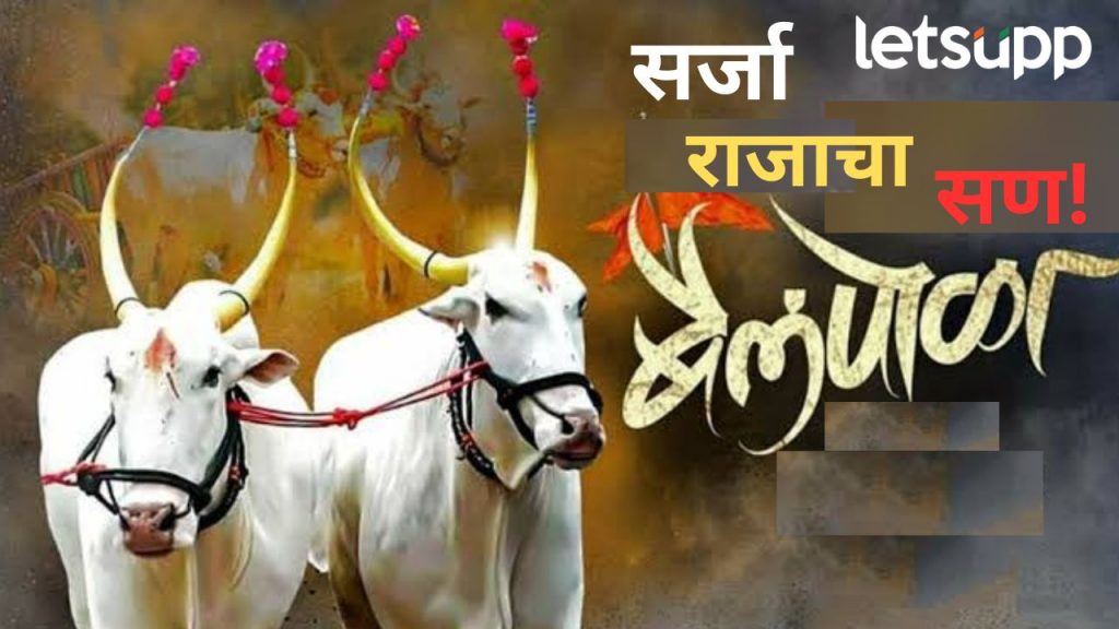 शेतकऱ्यांचा साथीदार बैल सजला; आज देशभरात बैलपोळ्याचा सण, वाचा का साजरा करतात पोळा?