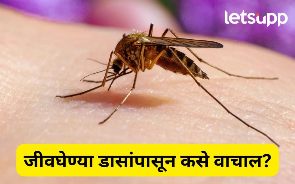 WhatsApp Image 2025 08 20 At 5.59.52 PM