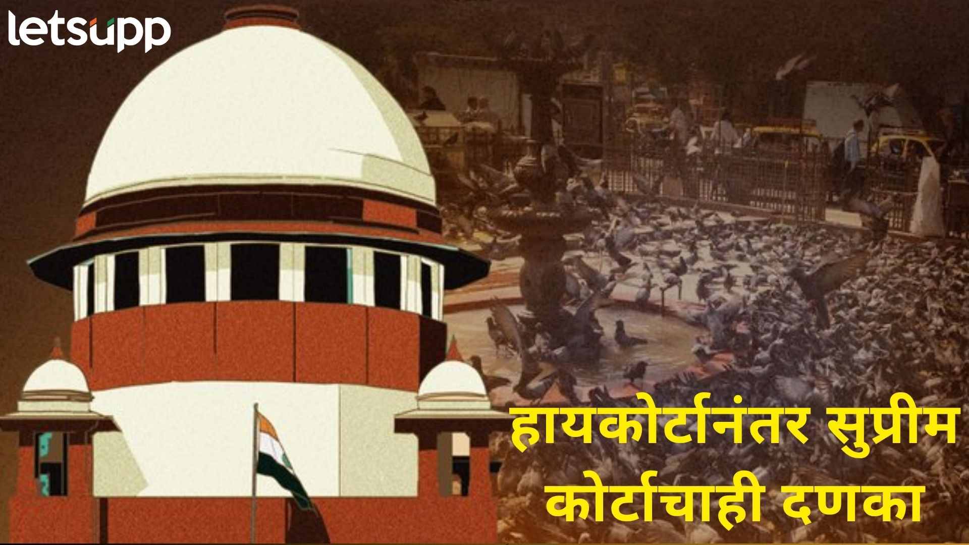 ब्रेकिंग : हस्तक्षेप करता येणार नाही; मुंबईतील कबुतर खान्याबद्दल सुप्रीम कोर्टाचा जैन समाजाला दणका