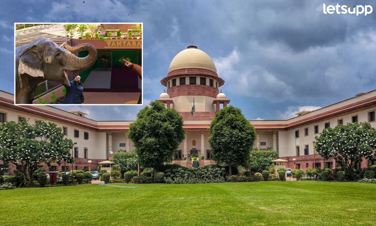 Kolhapur Madhuri Elephant