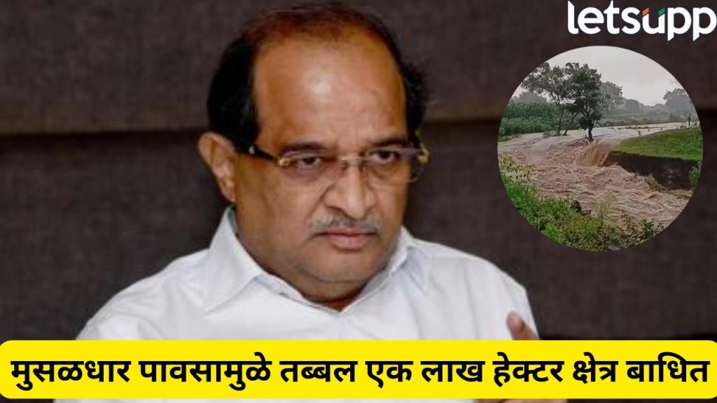 Radhakrishna Vikhe Instructions To Complete Panchnama