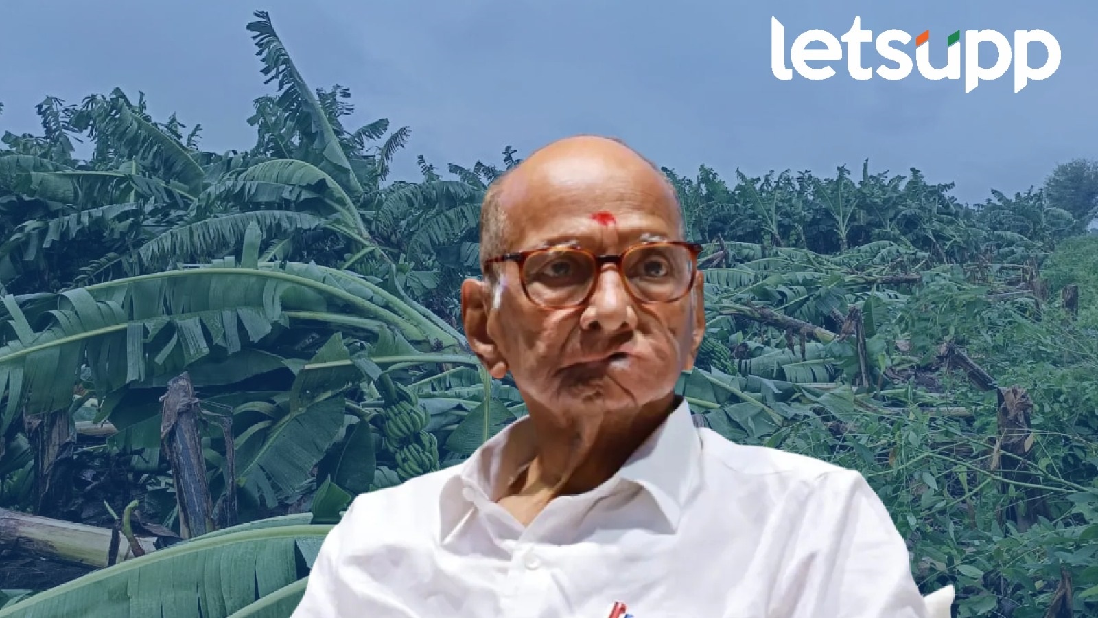 Complete loan waiver for farmers and businessmen is needed; Sharad Pawar's 'these' five suggestions to the government