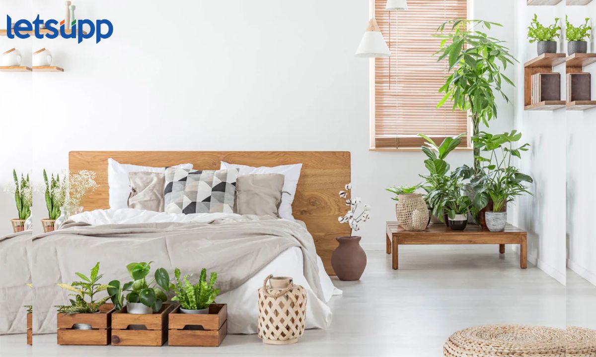 Indoor plants in bedroom