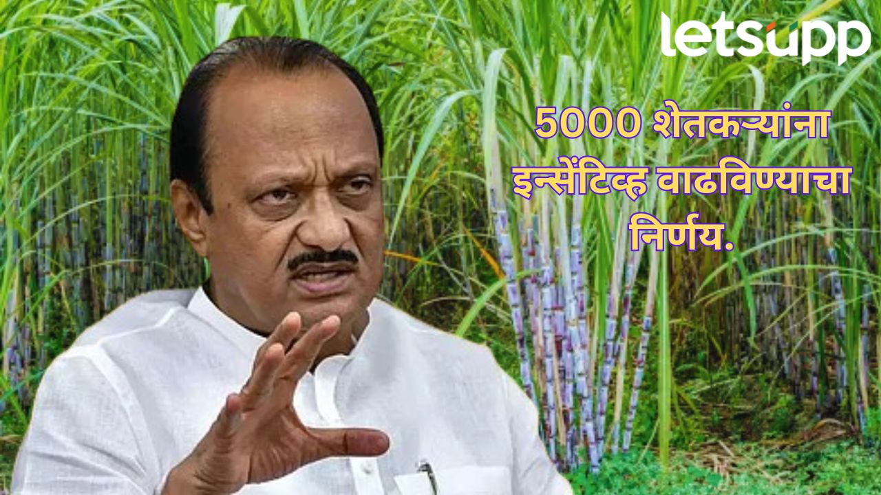 _Sugar Industry Vasantdada Sugar Institute