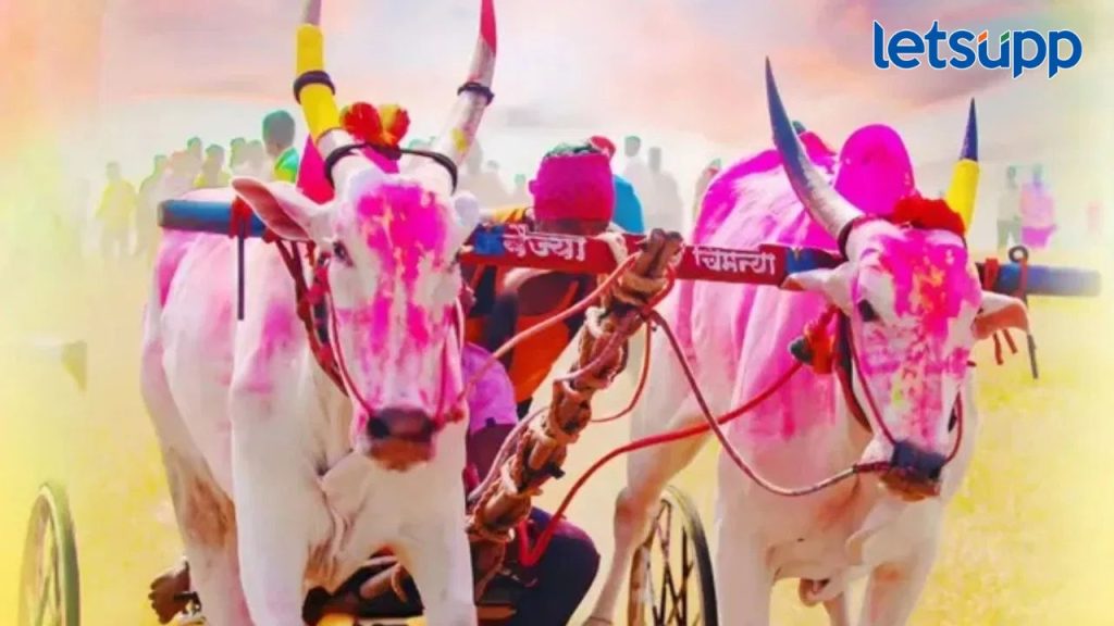 News Photo 2025 11 10T182229.497